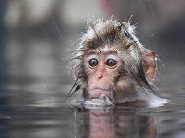 Yudanaka Tawaraya Ryokan Yamanouchi  Ngoại thất bức ảnh